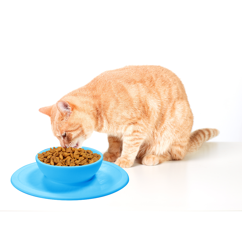 Silikon Futternapf Anti-Rutsch Haustier Fress Napf Schale für Hunde / Katzen (VVAVACIND1083) - Blau