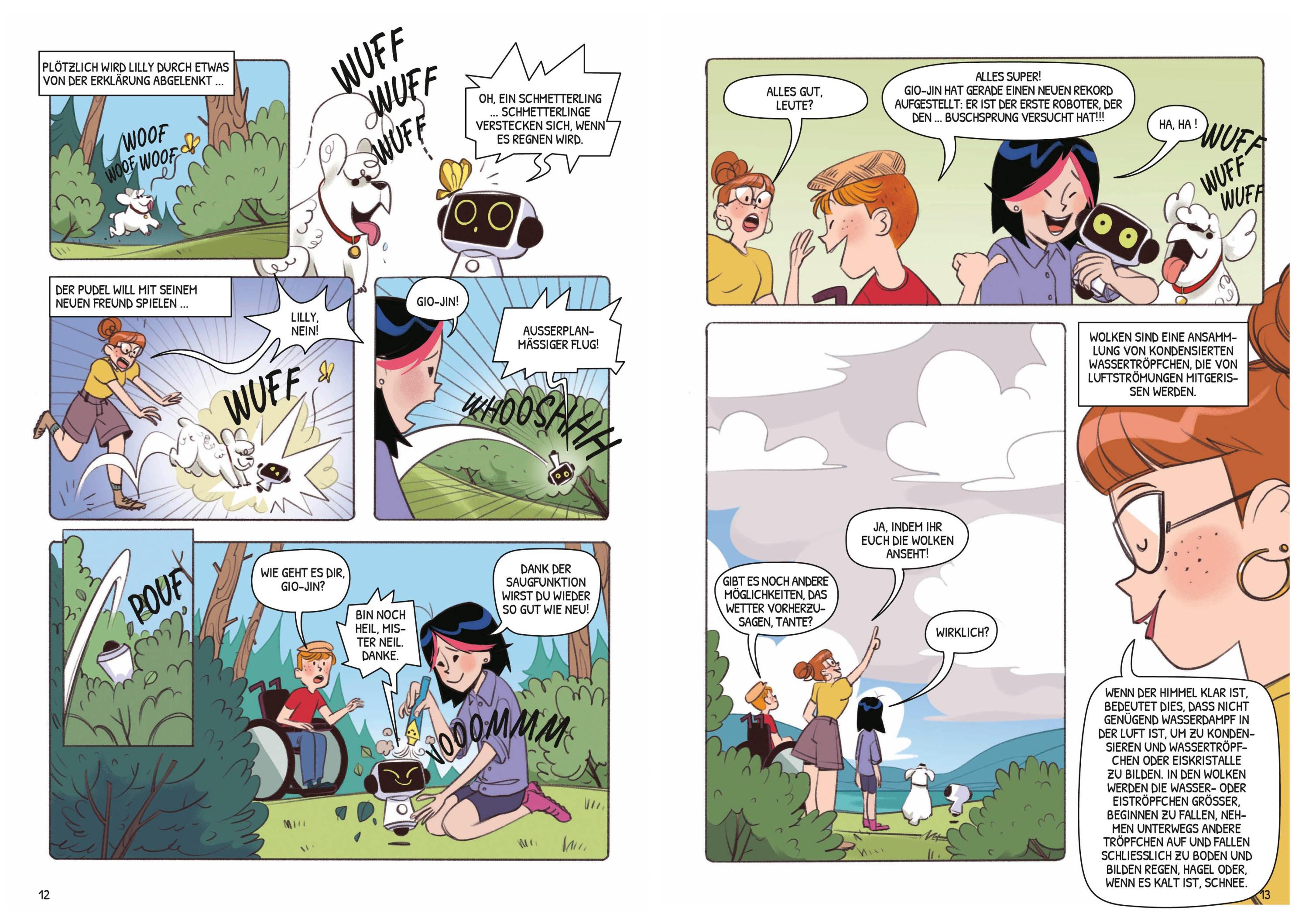 Wildes Wetter. Entdecke die extremsten Phänomene (Kreativ lernen mit Comics)
