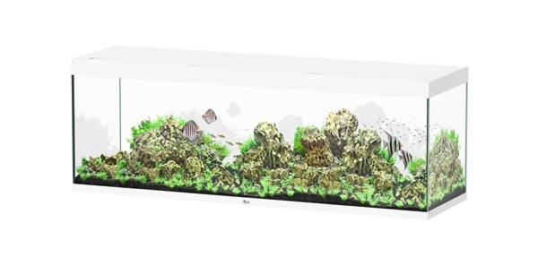 Aquatlantis Sublime 200x60 aquarium | Gloednieuw