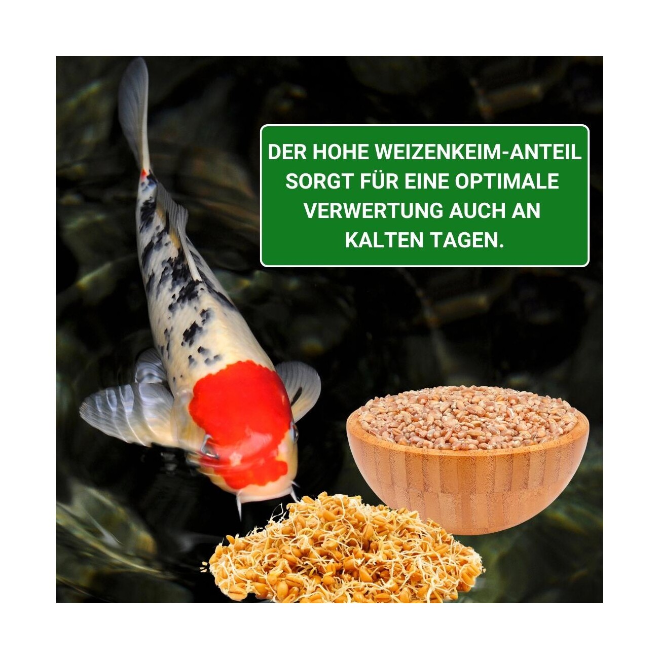 KENKOU COOL-Water 6mm 2 kg