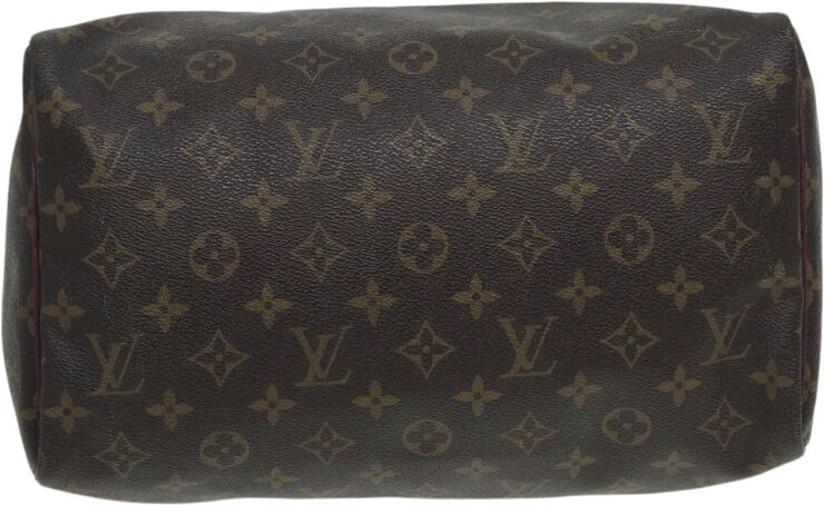 Louis Vuitton Vintage Louis Vuitton Speedy Brown