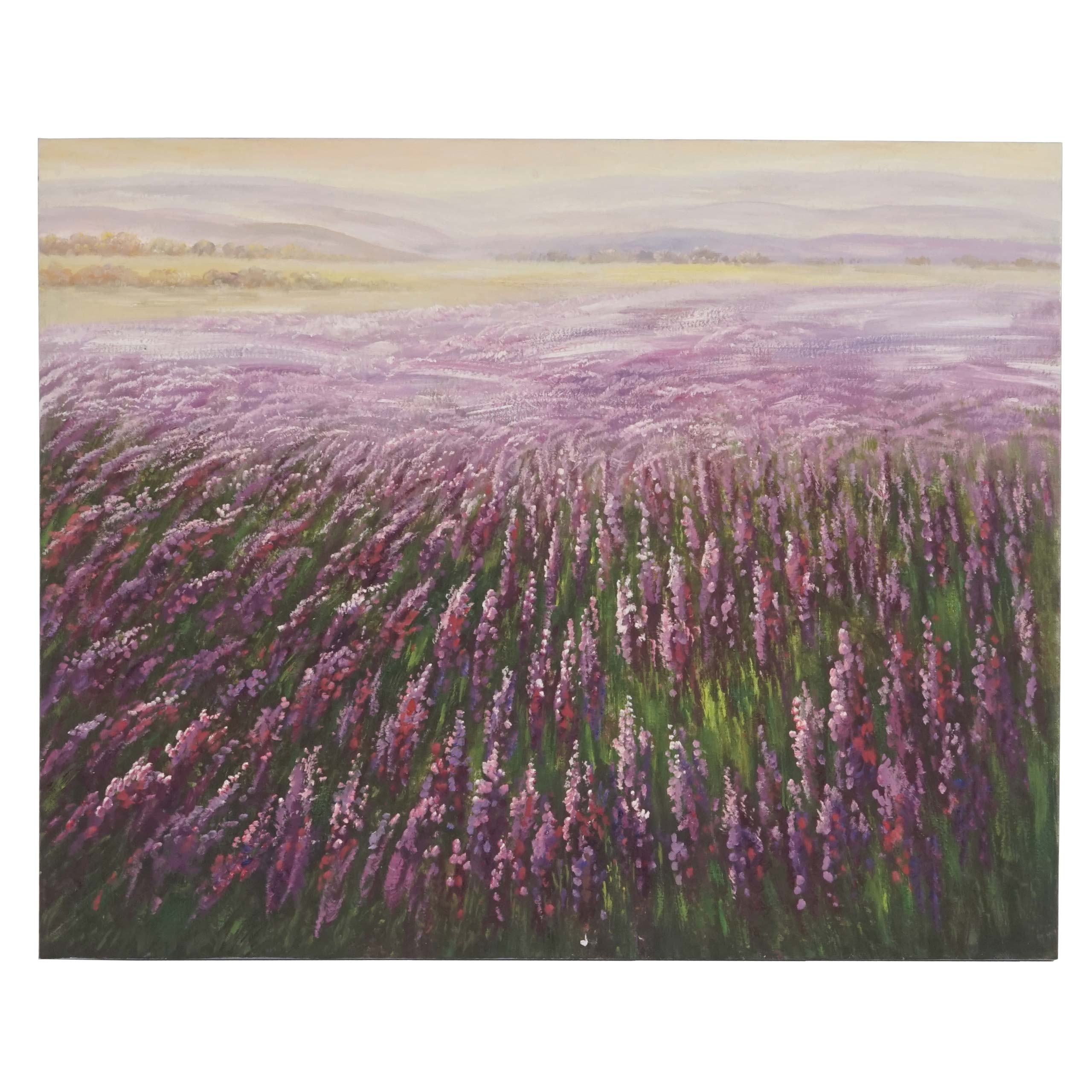 Wandbild Blumenfeld, 100% handgemaltes ÖlgemäldeGemälde XL, 100x80cm
