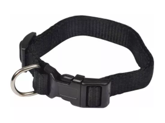 Collier Réglable pour Chien 