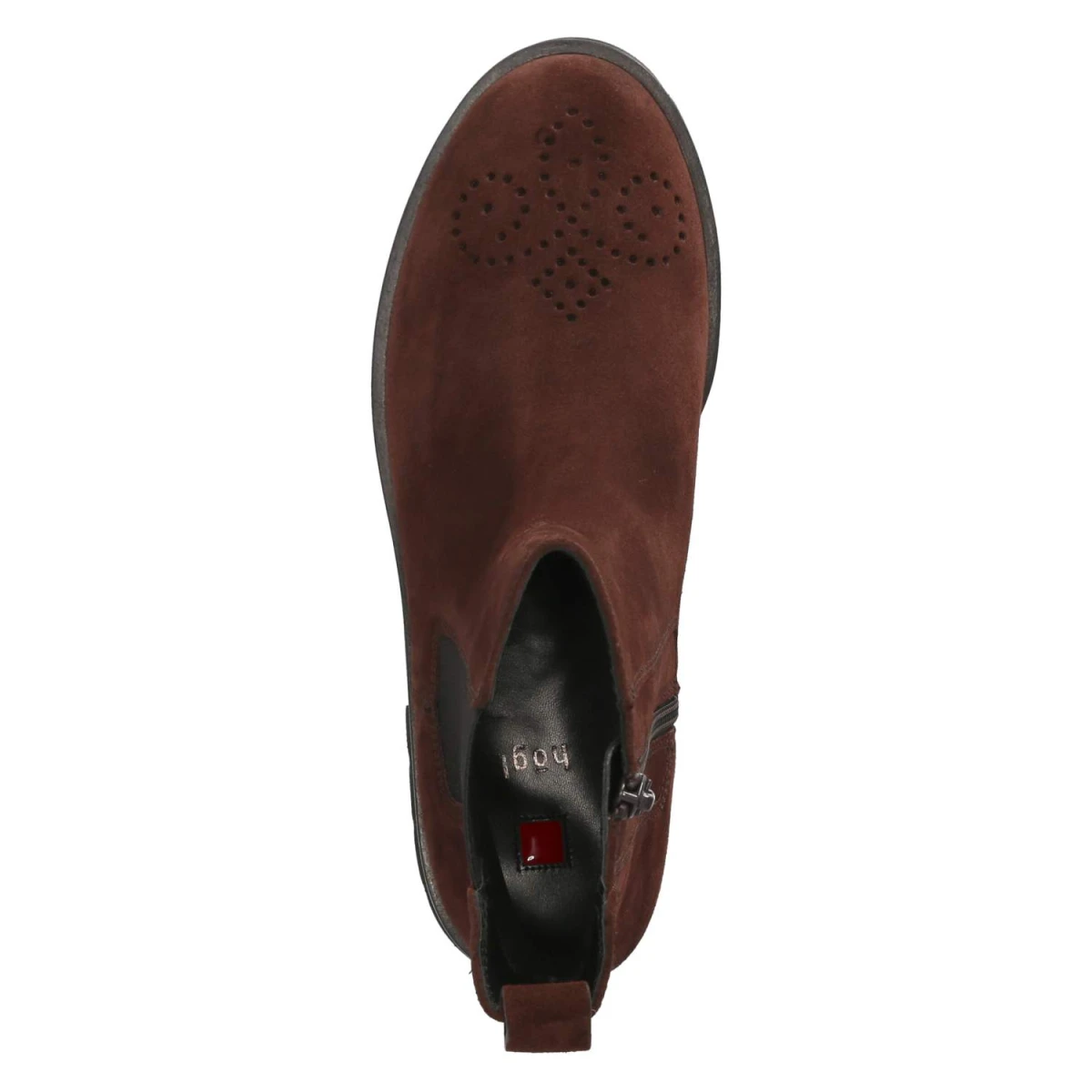 HöglChelsea Boots - chocplum