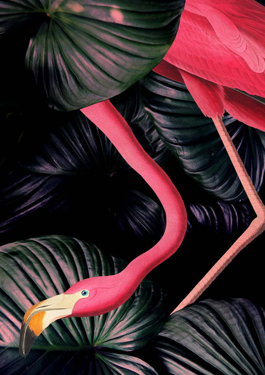 Amerikanischer Flamingo im Dschungel-Tierdruck