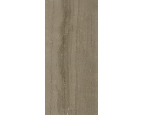 XXL porseleinen wandtegel Living Cinnamon 120 x 260 x 0,7 cm gepolijst bruin