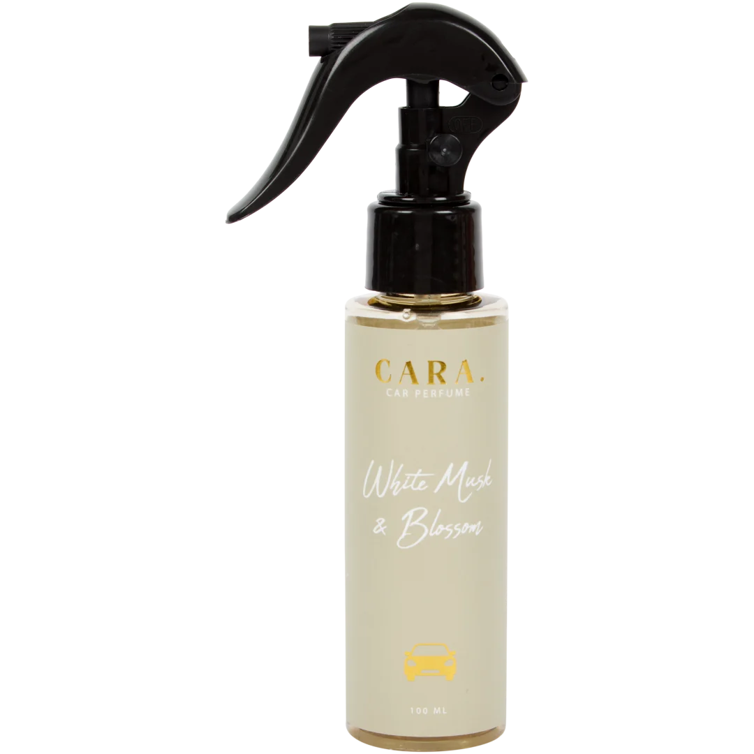 Luxe autoparfum 100 ml | diverse varianten