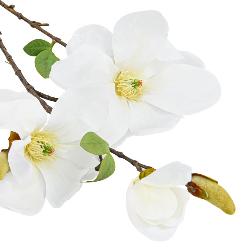 Tige de magnolia géant crème