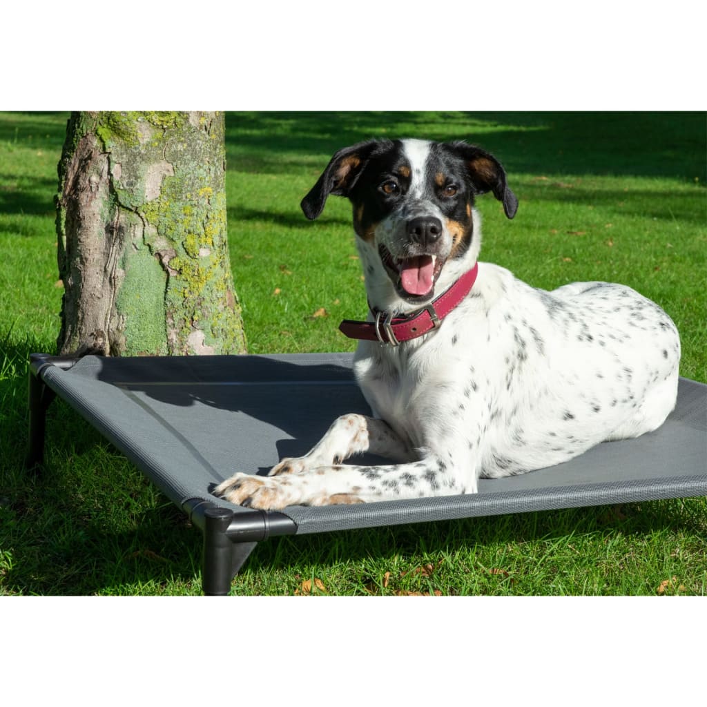 Cama para cachorro