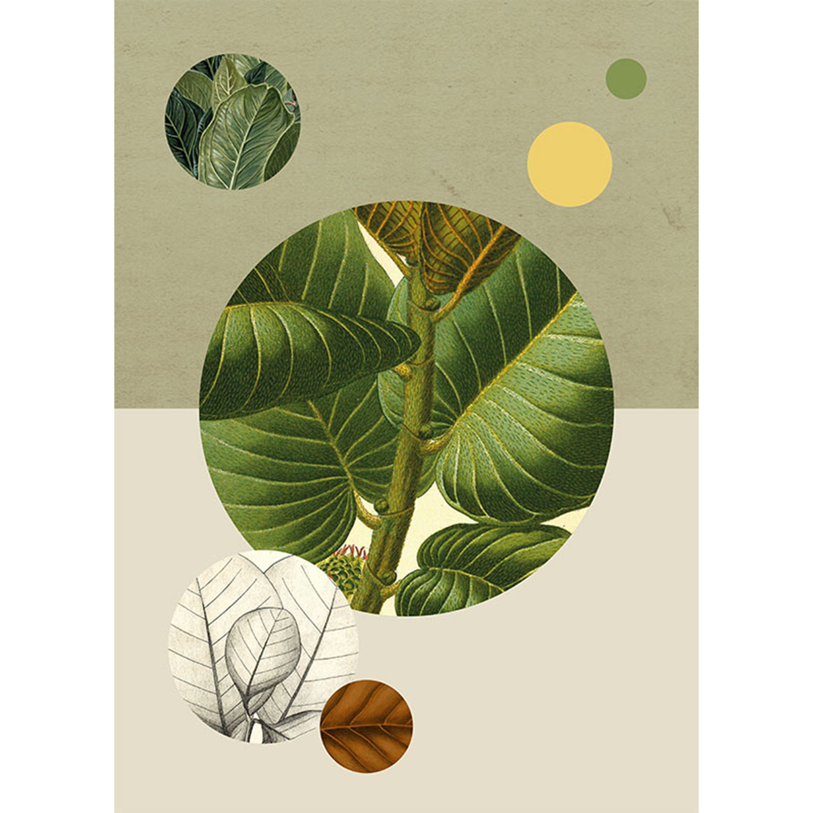 Wandbild GREEN STRUCTURE - grün-creme-braun - 50x70 cm