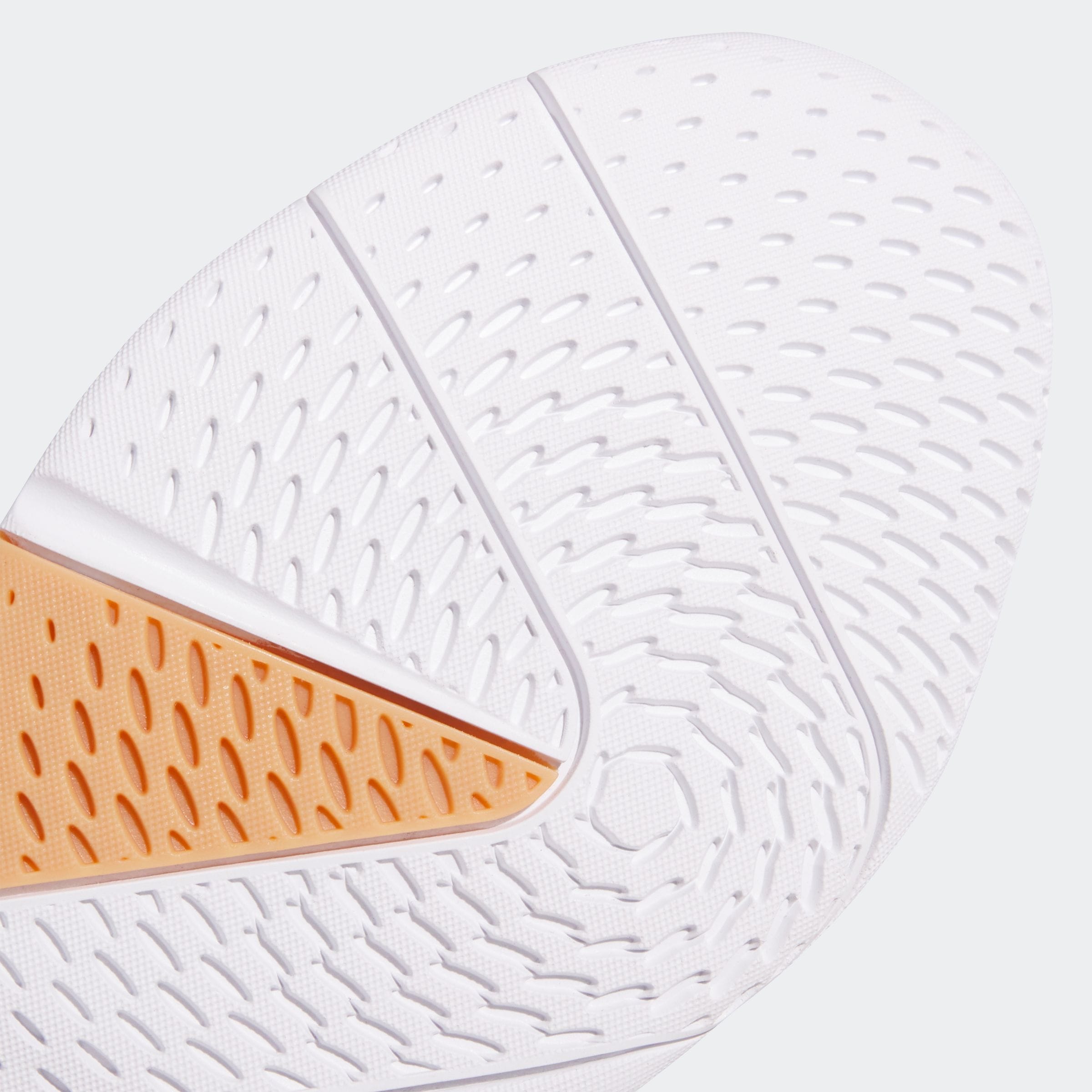 adidas Performance Hallenschuh »LIGRA 8 INDOOR«  geeignet für jeden Hallensport