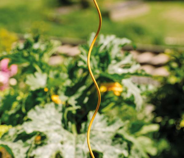 bellissa Stahl-Tomatenspirale Colorata