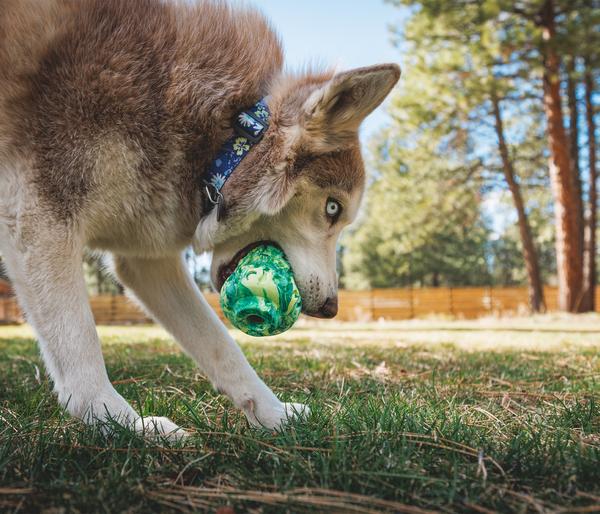 RUFFWEAR® Hundespielzeug Morel™