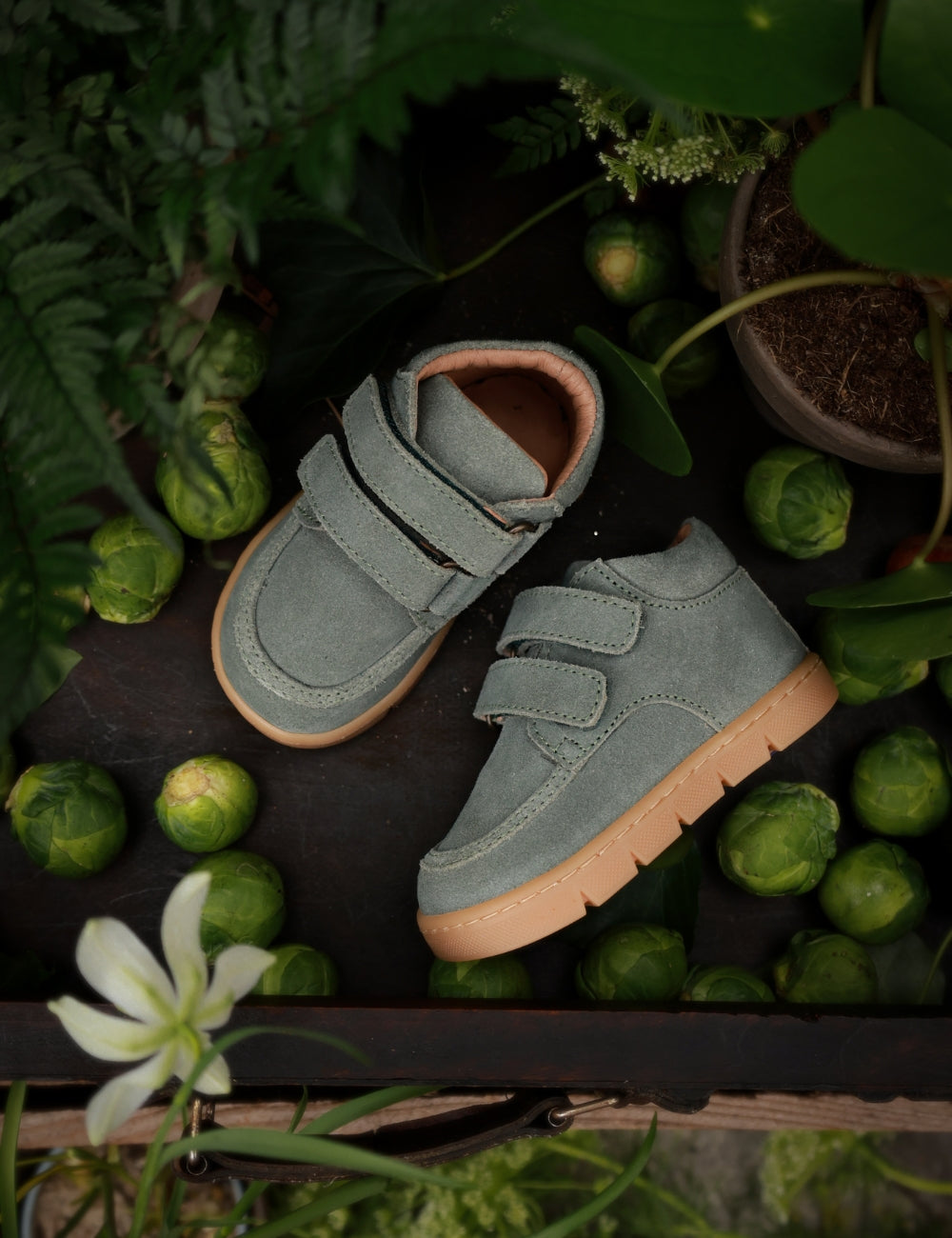 Chubby Cruiser velcro - Dove Suede