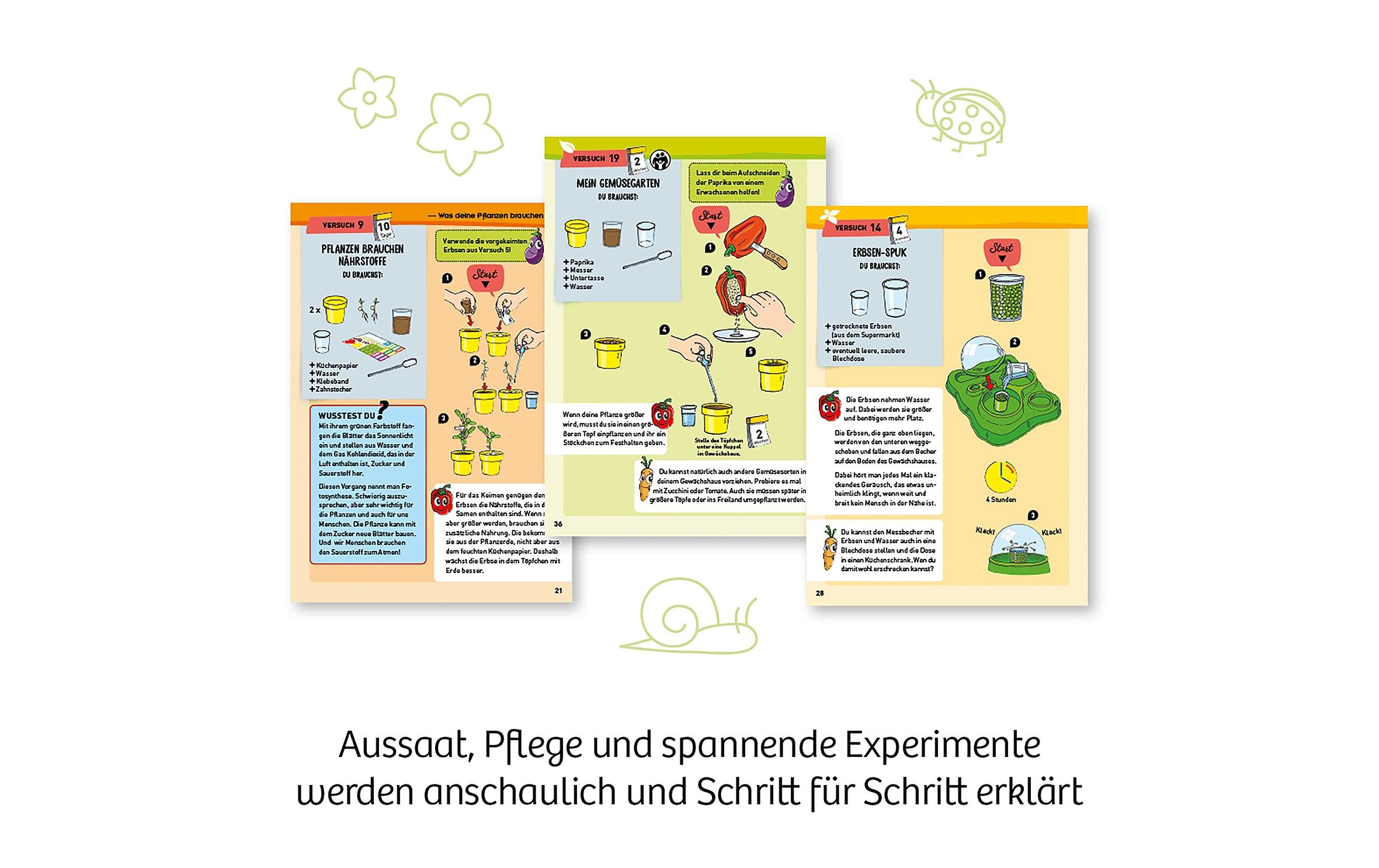 Experimentierkasten Mein erstes GewächshausEigenen Garten pflanzen