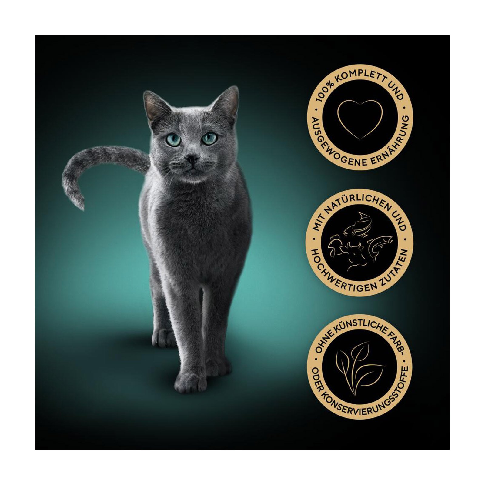 ZooRoyal Moon Ranger Angus-Rind
