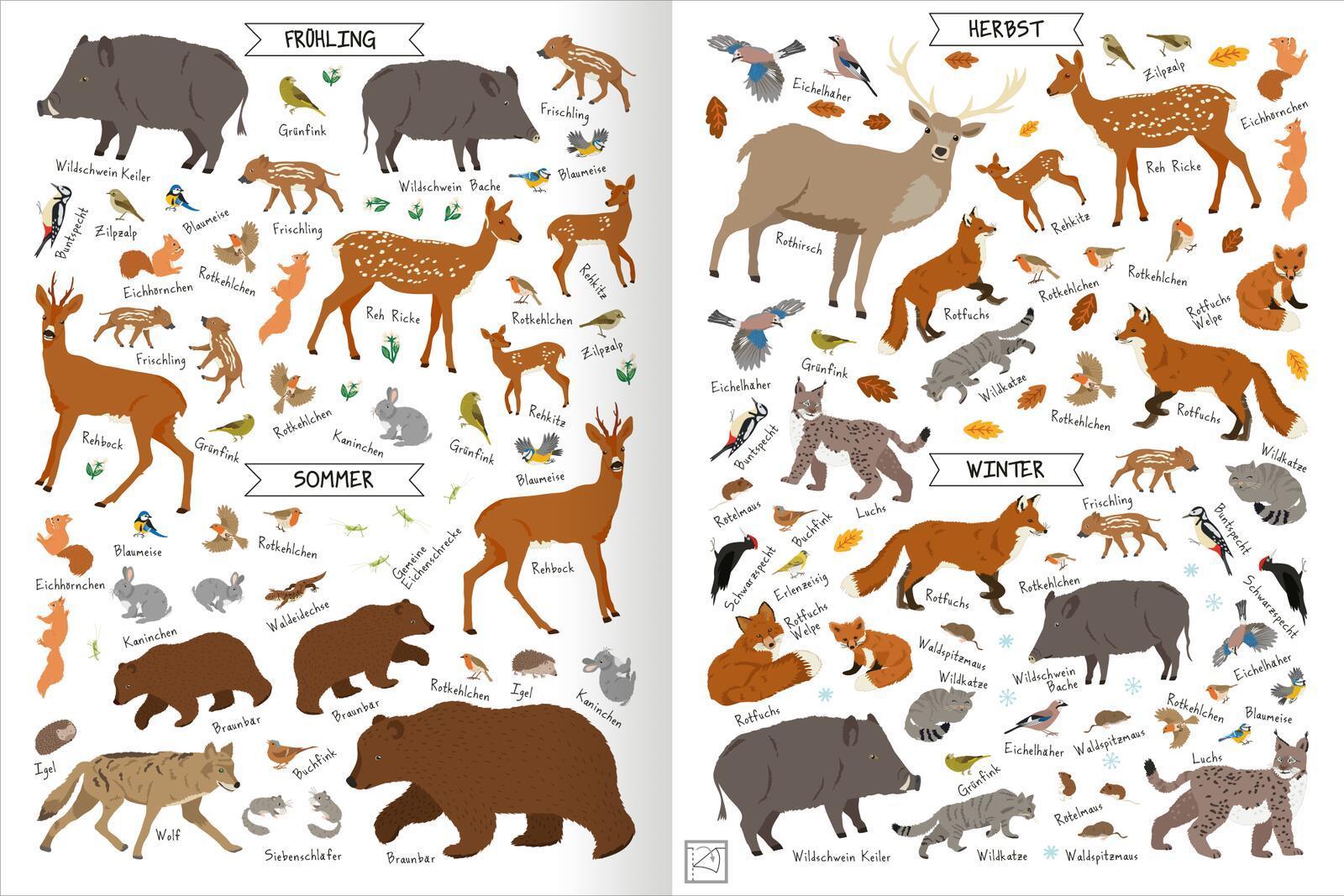 Naturforscher-Kids - Stickerheft Im Wald