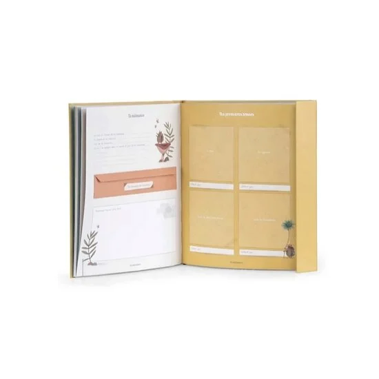 Trois petits lapins Livre de Naissance   80 pages        de               Moulin Roty