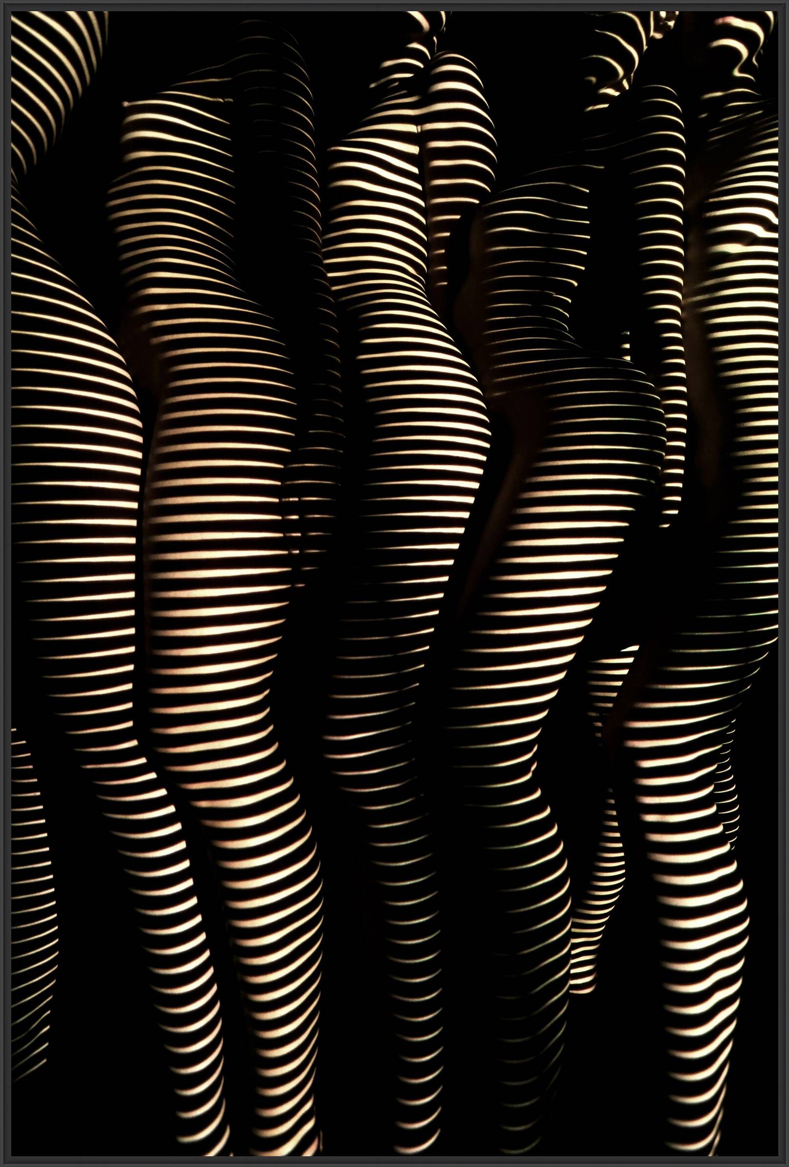 Women Of Light by Dani Olivier - Limited Edition. Edition of: 150. Signed.