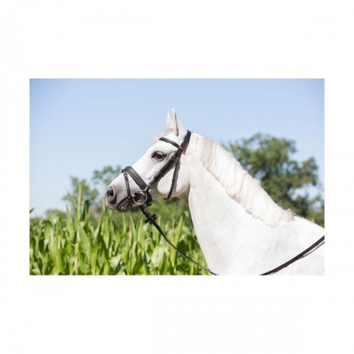 Bridão Kieffer Ultra Soft para cavalos, preto
