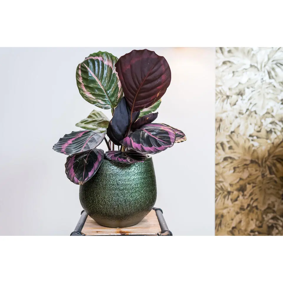 Ter Steege Plantenpot - keramiek - metallic donkergroen - 27x25cm