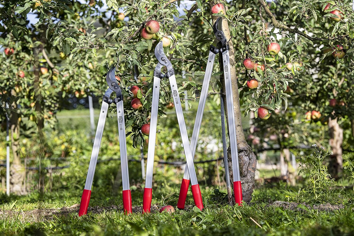 FELCO 221-80 Zweihand- Astschere mit 80 cm Gesamtlänge, Ziehender Schneidkopf