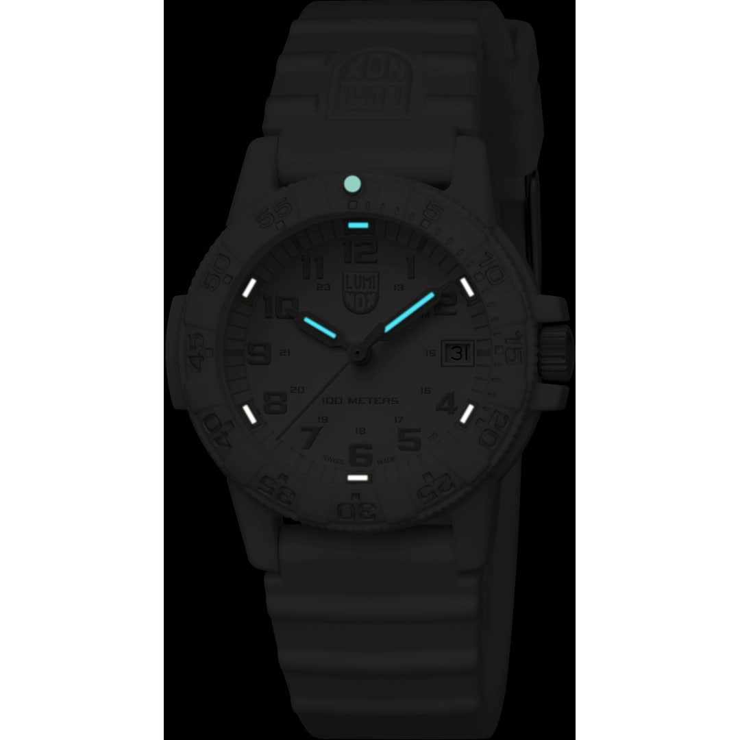 Luminox Sea Turtle 0300 Series