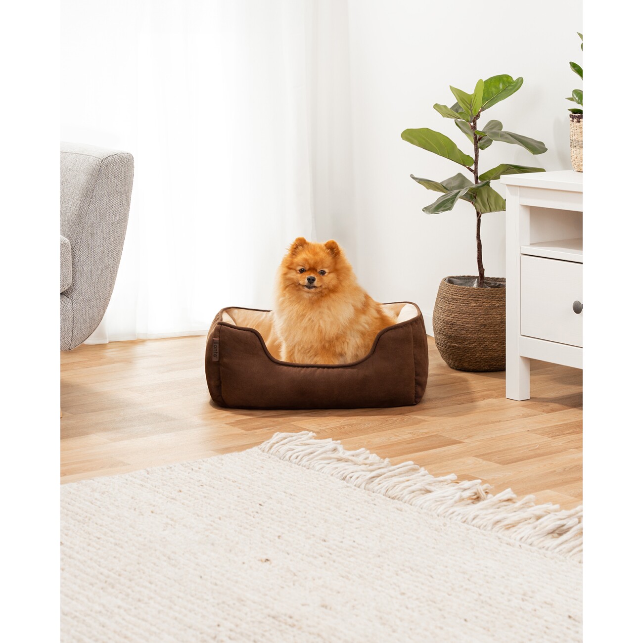 Lionto 2-in-1 Hundebett Hundekissen S