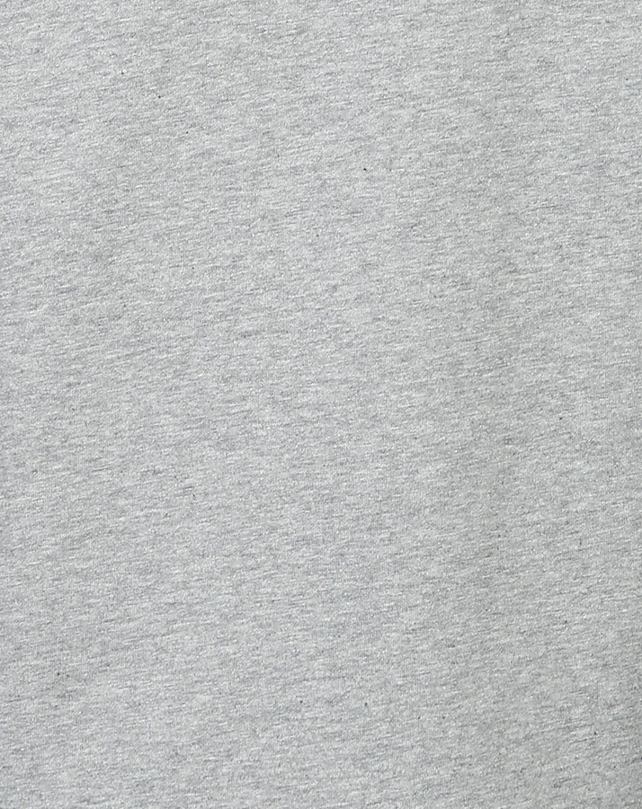 T-Shirt DINOSAUR CROSSING mit Wendepailletten in grau melange