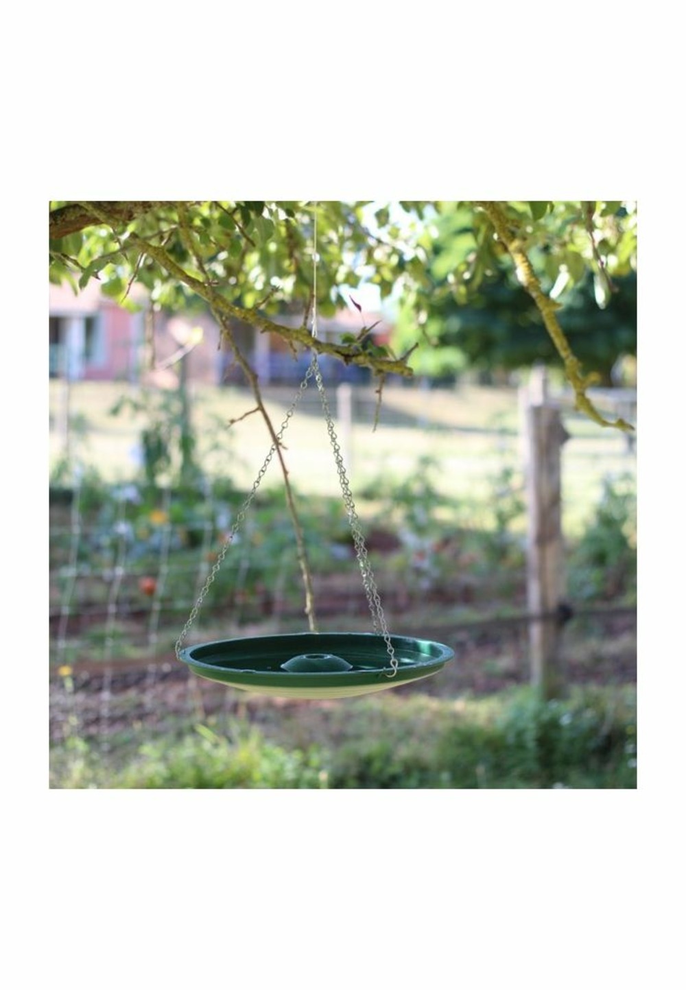 Abreuvoir bain universel