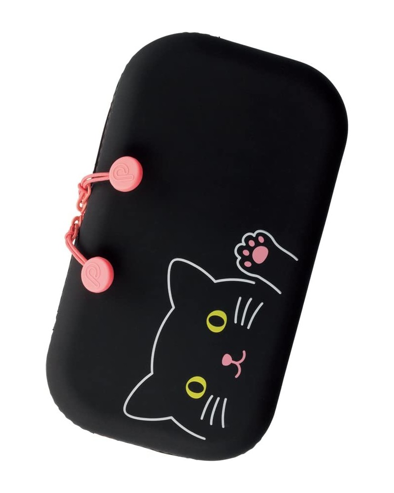 Chat Noir