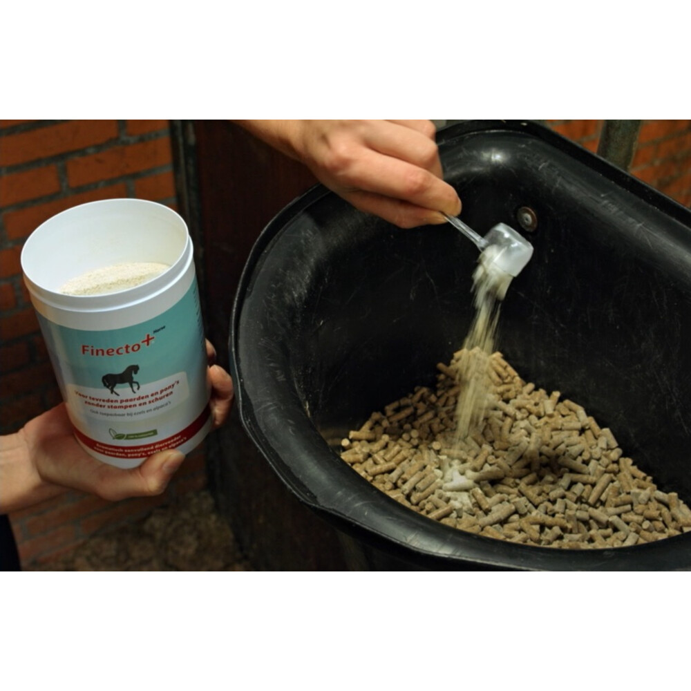 Finecto+ Horse Oral 600 gr