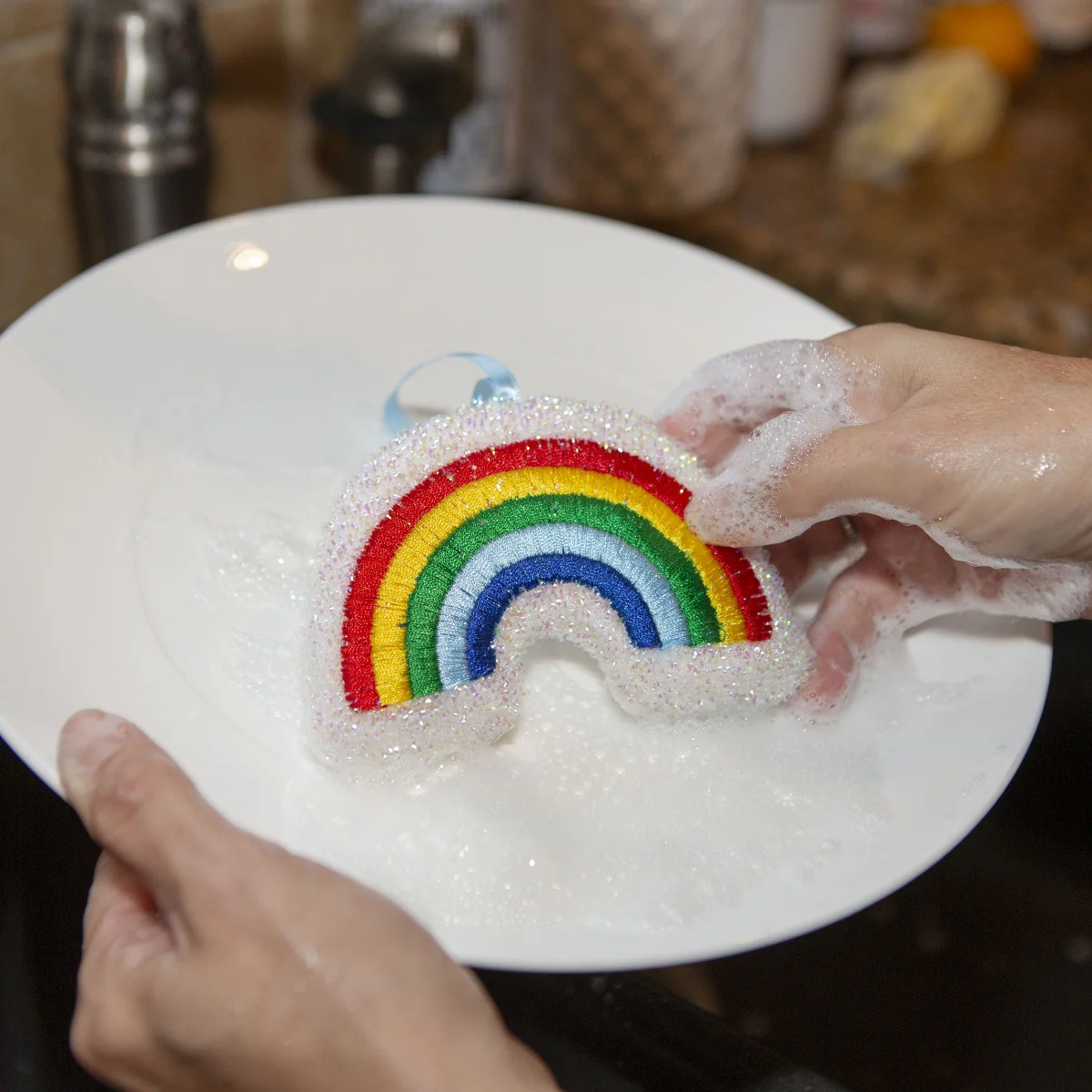 Kikkerland  Rainbow køkkensvampe - regnbue