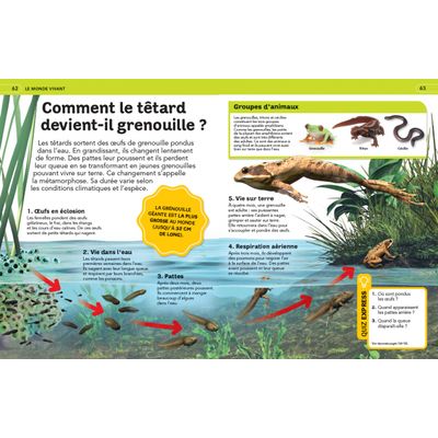 Livre La grande encyclopédie illustrée dès 7 ans