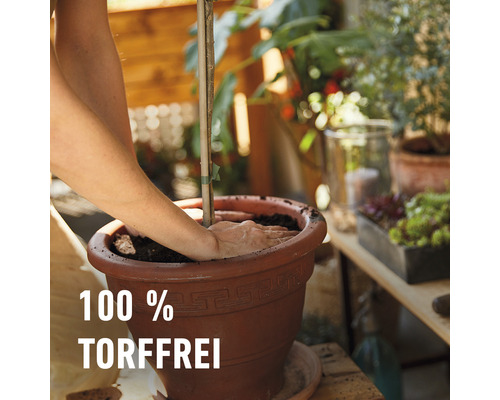 Mediterrane potgrond COMPO BIO turfvrij 20 L