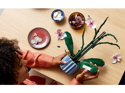 LEGO Orchidee (10311)