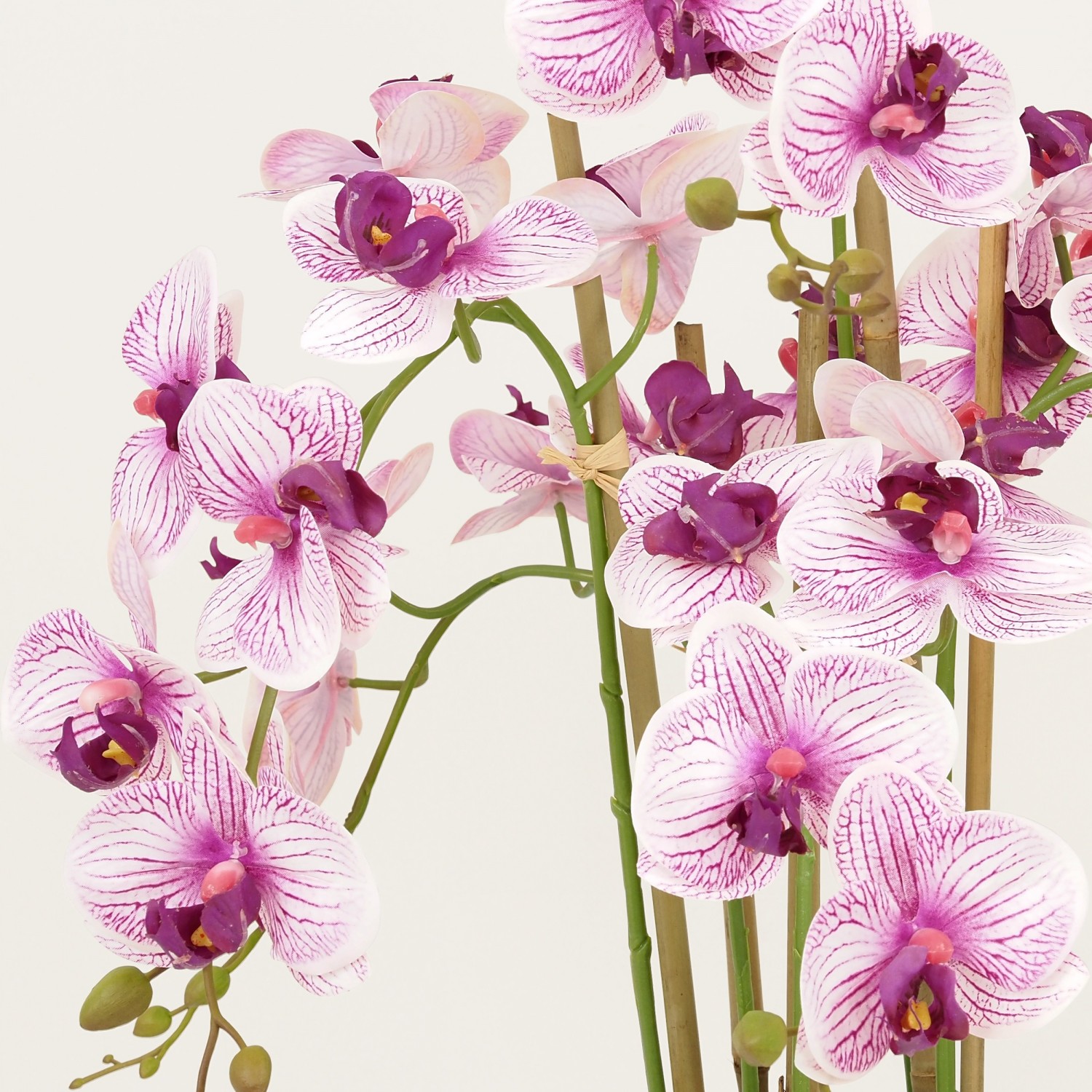 Orchidées artificielles blanches fuchsias 55cm