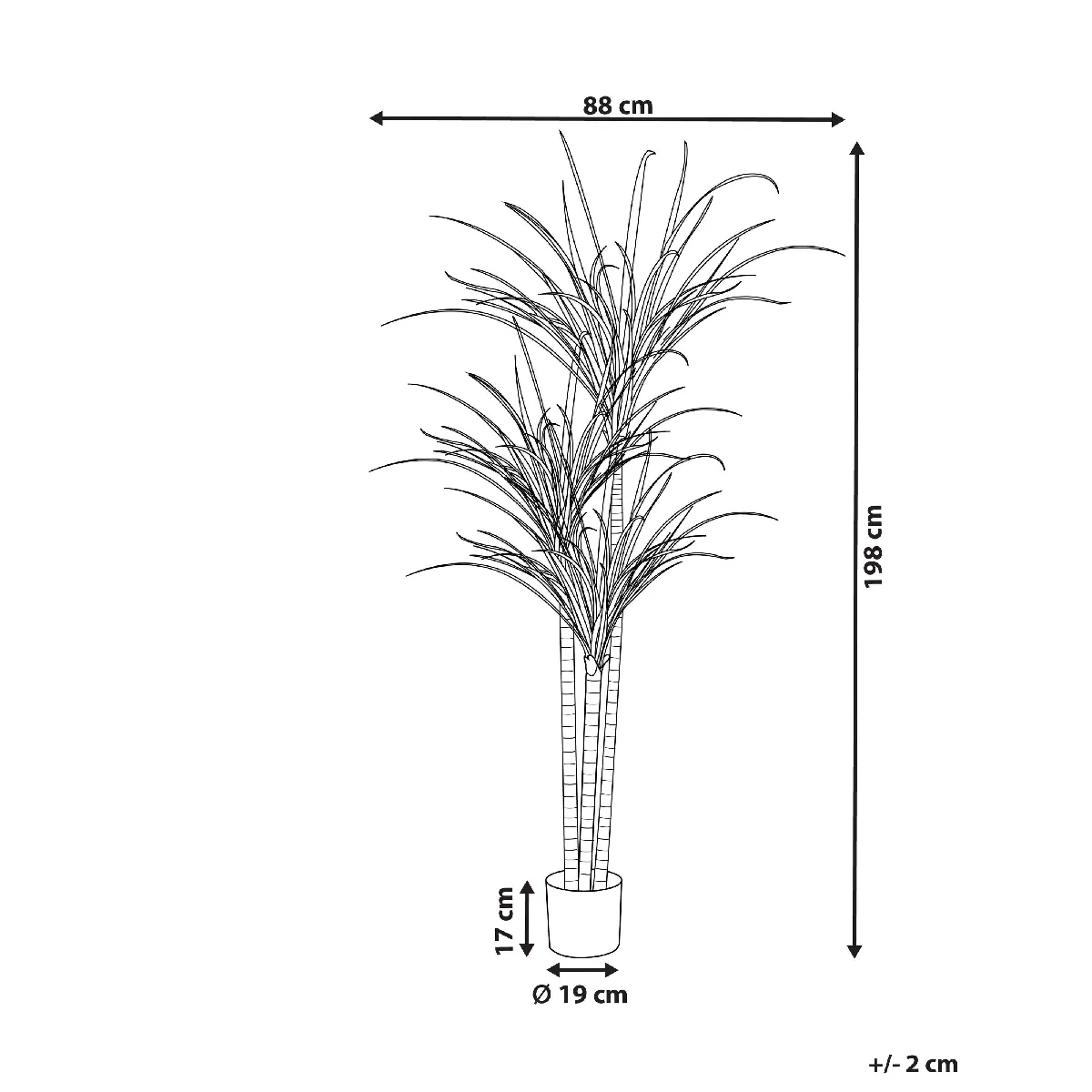 BELIANI DRACAENA ANITA 198 cm - Vert