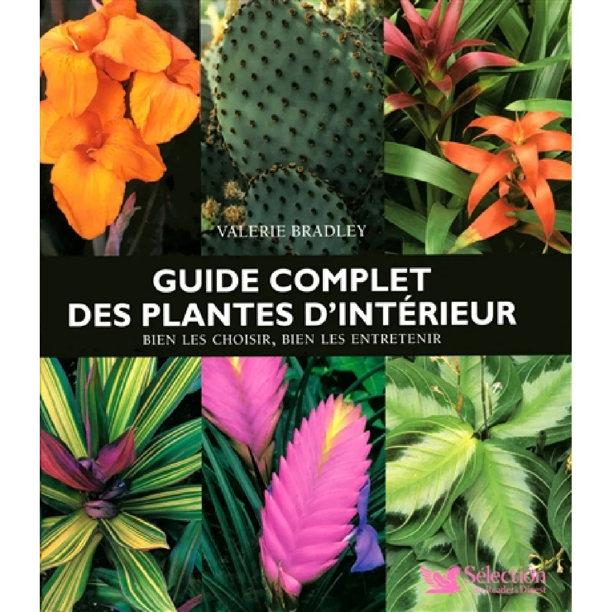 Guide complet des plantes d'intérieur : bien les choisir, bien les entretenir · Occasion