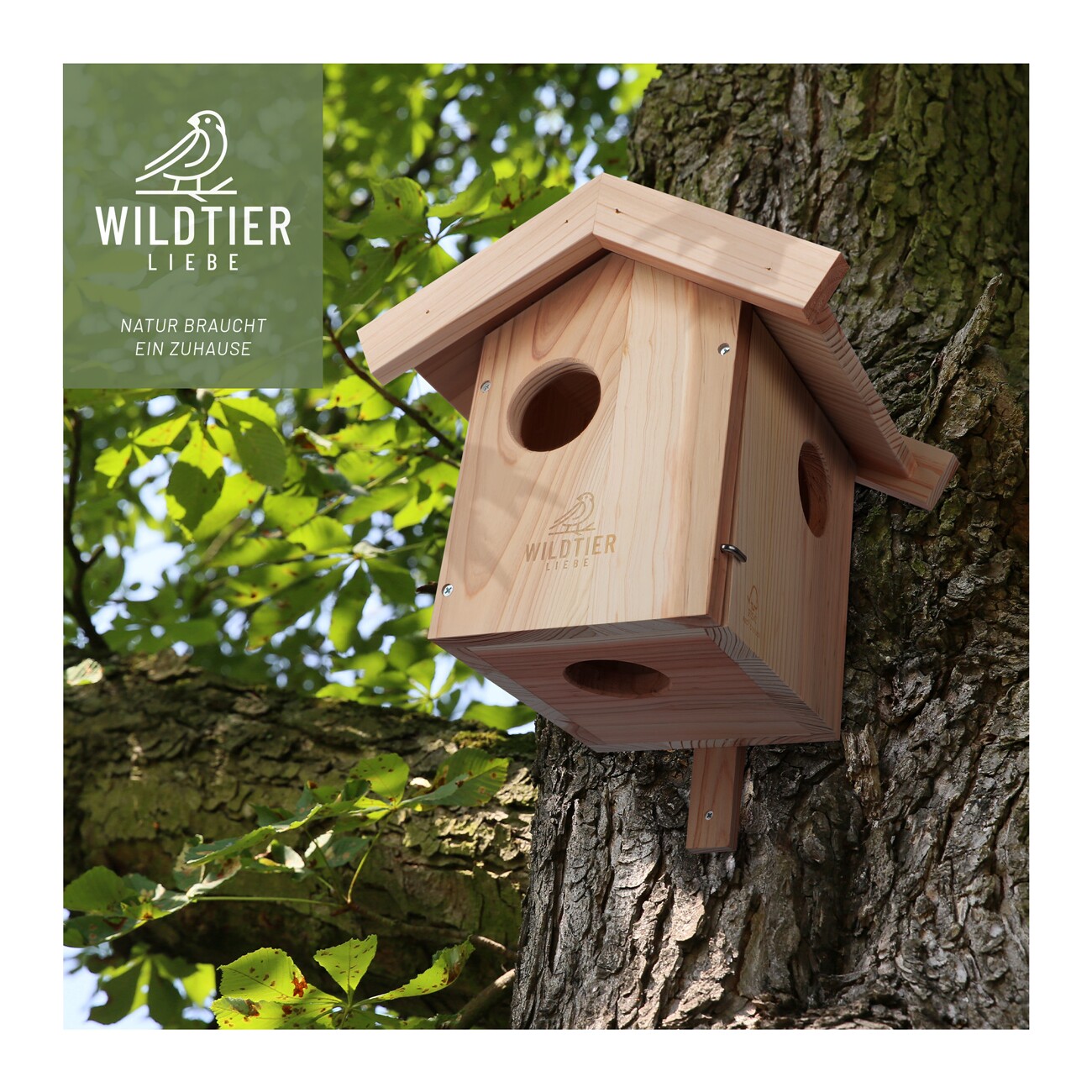 wildtier liebe Eichhörnchen Kobel