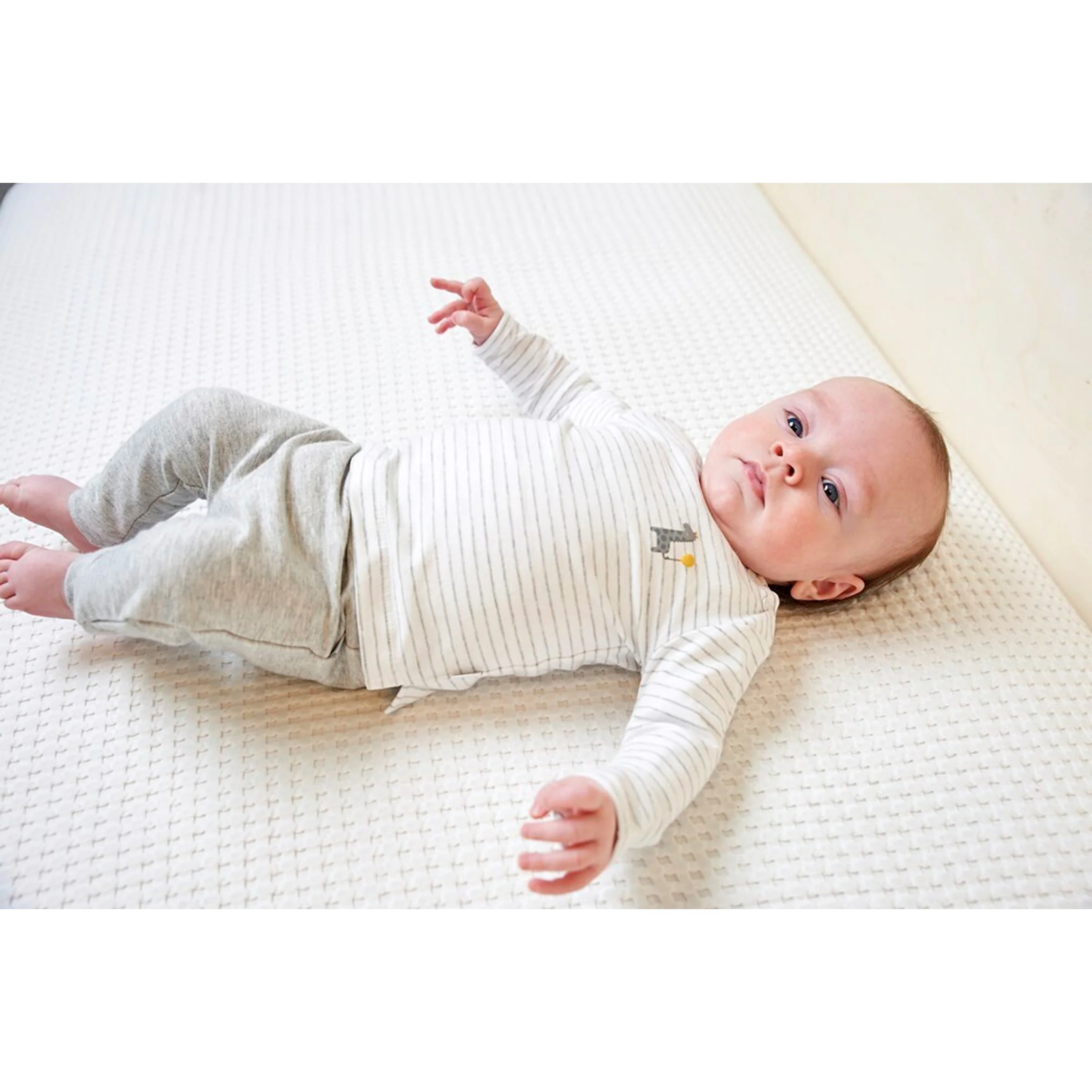 Feetje Shirt langarm Ringel Giraffe