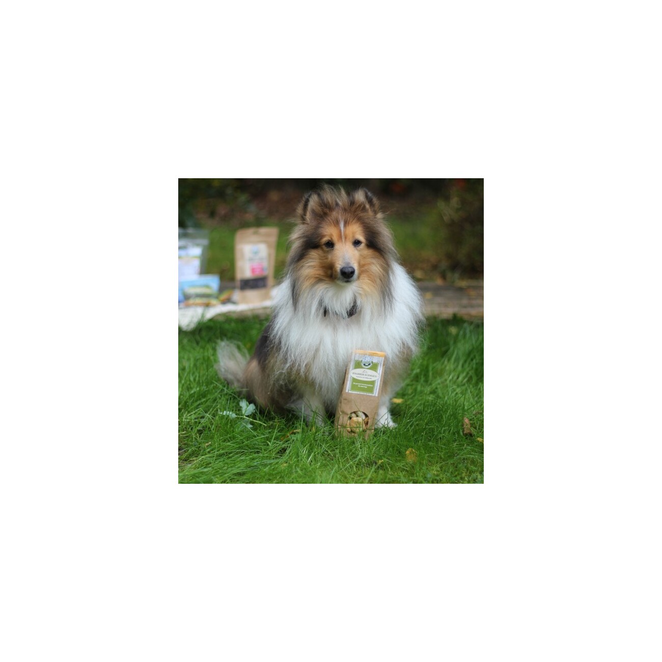 Bellfor Hundekekse Knabber-Schmaus mit Kaninchen - 100g