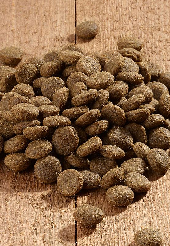 Vet-Concept Hond Intestinal 3 kg