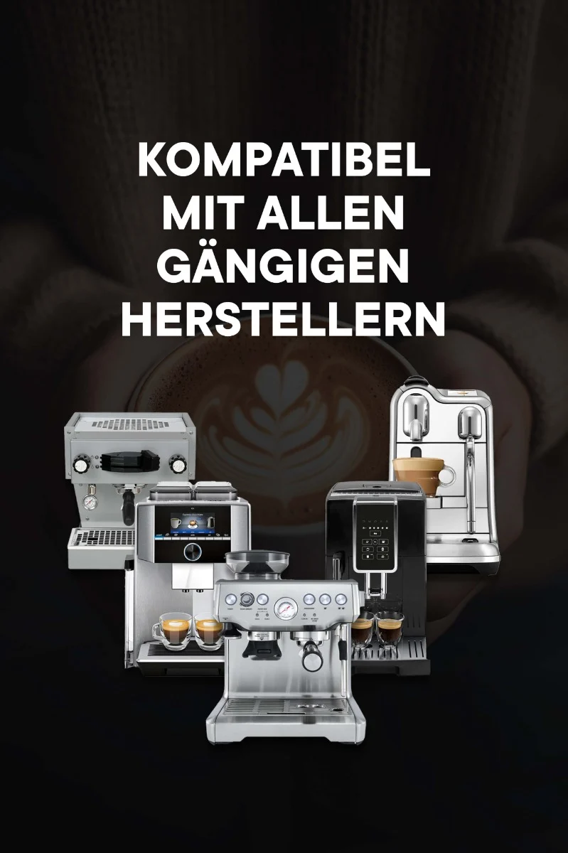 roastmarket Reinigungspulver 500g