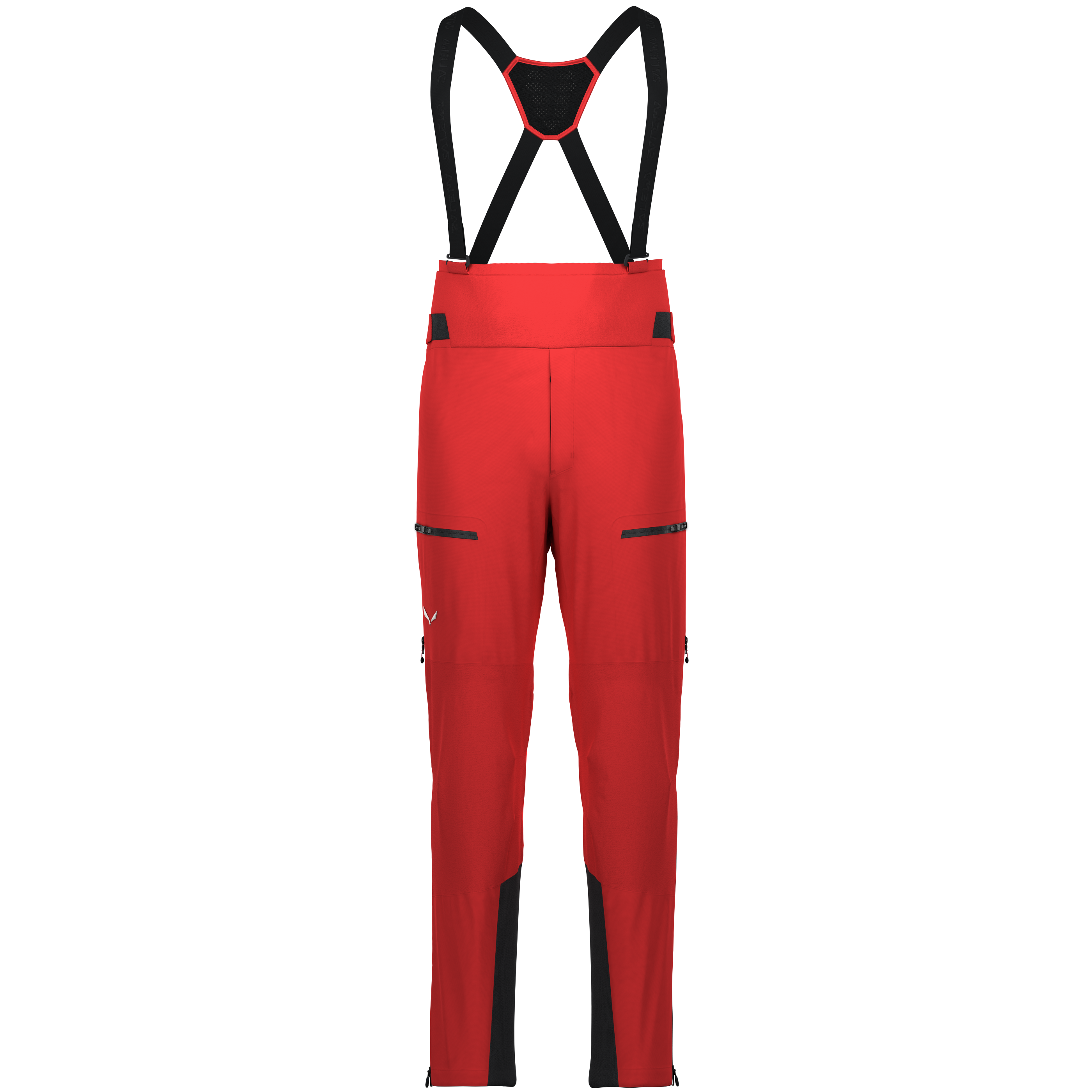 Ortles Gore-Tex® Pro Hose Herren