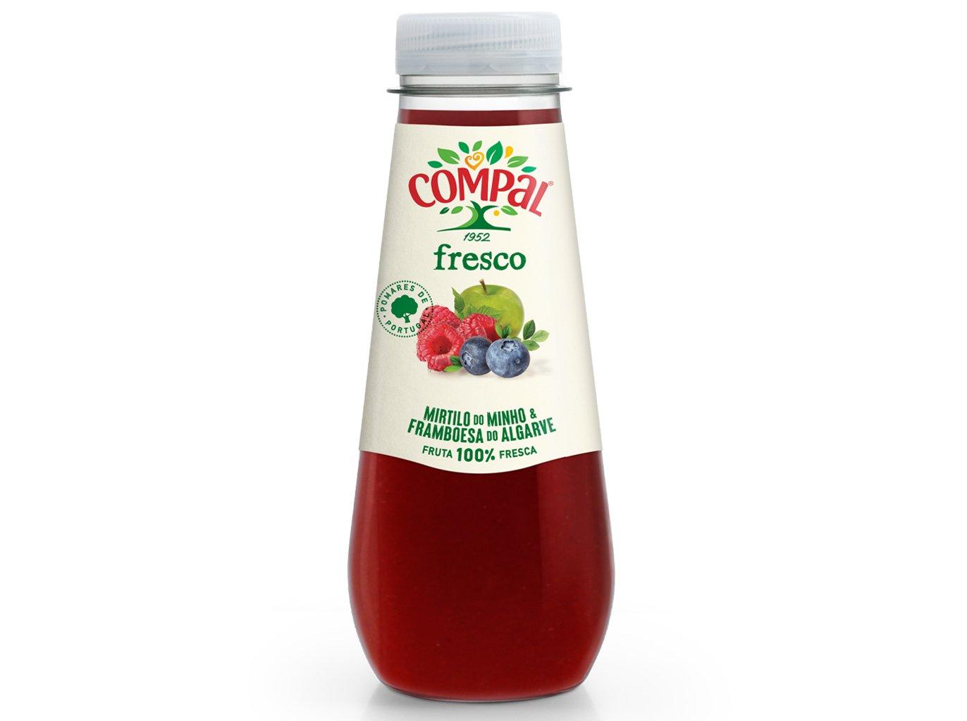 SUMO COMPAL MIRTILO FRAMBOESA 250ML
