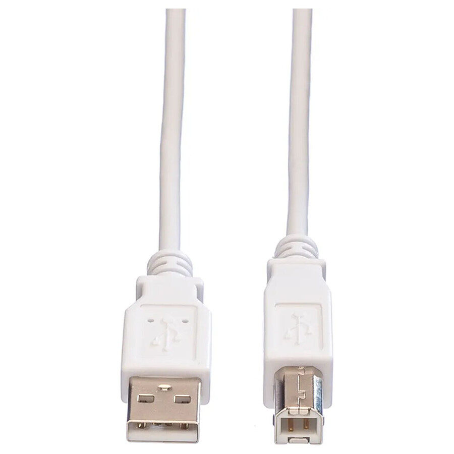 Câble USB 2.0 Type A vers Type B - 5 m