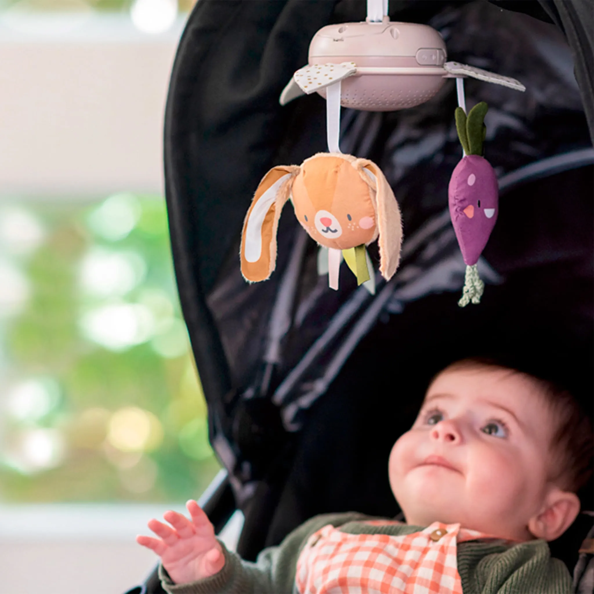 Taf Toy Mobile Jardin