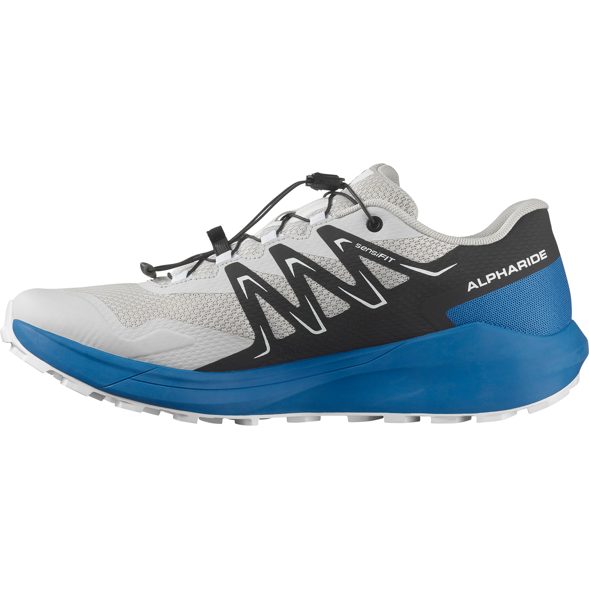 Salomon Trailrunningschuh »ALPHARIDE«  wasserdicht