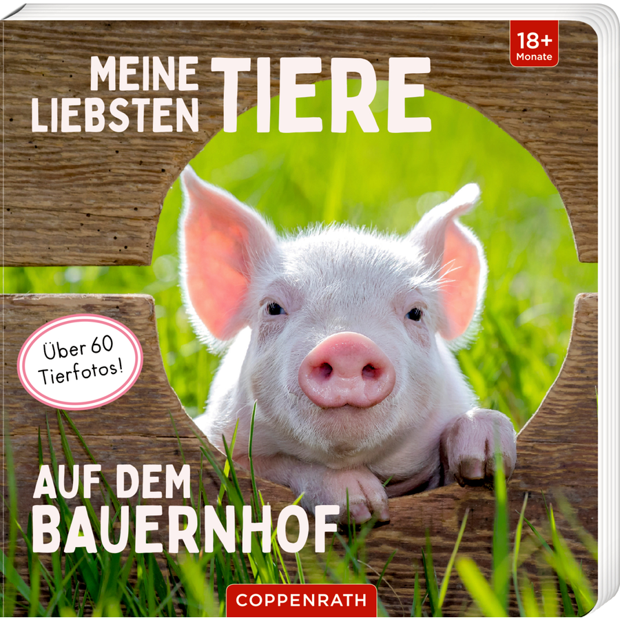 COPPENRATH Meine liebsten Tiere auf dem Bauernhof